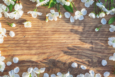 Similar image 12217716