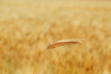 Similar image 12217740