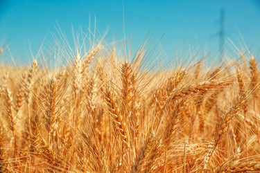 Similar image 12217742