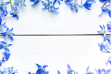 Similar image 12217753