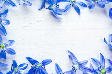 Similar image 12217755