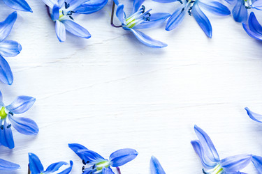 Similar image 12217756