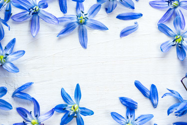 Similar image 12217757