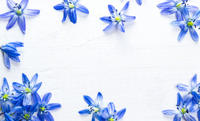 Similar image 12217760