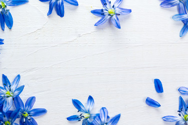 Similar image 12217761