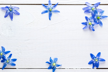 Similar image 12217762