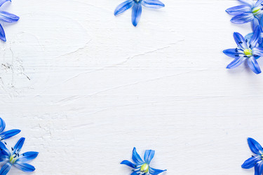 Similar image 12217763