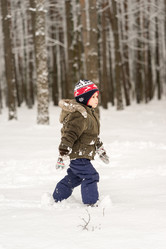 Similar image 12216190