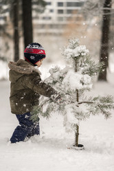 Similar image 12217311