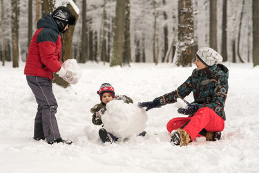 Similar image 12217312