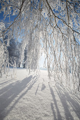 Similar image 12218789