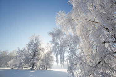 Similar image 12218790