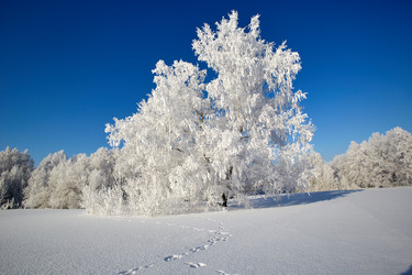 Similar image 12218791