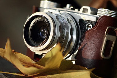 Similar image 12219013