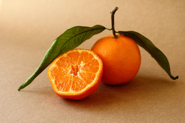 Similar image 12219015