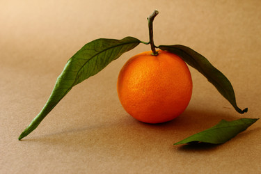 Similar image 12219016