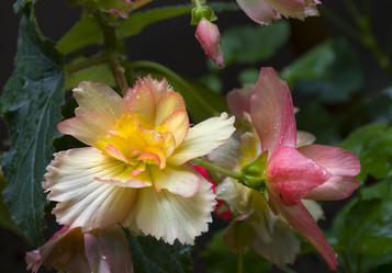 Similar image 12219220