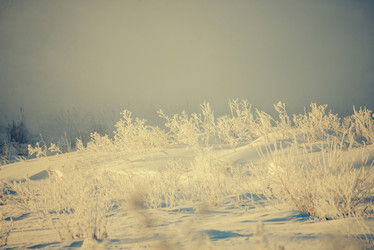 Similar image 12220524