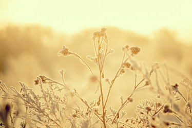 Similar image 12220525