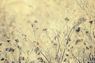 Similar image 12220527