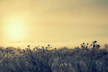 Similar image 12220528