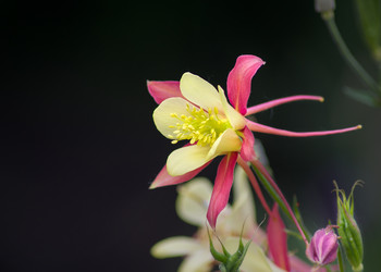 Similar image 12220495