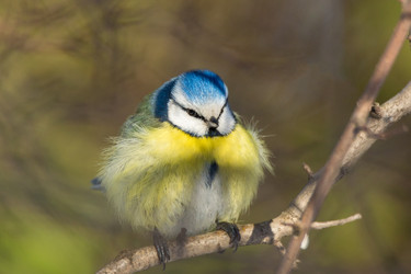 Similar image 12220862