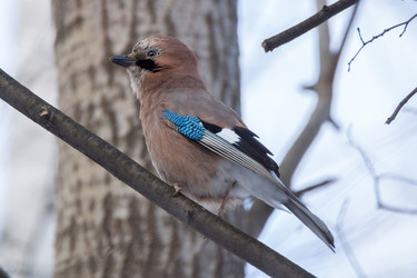 Similar image 12220863