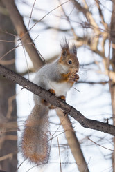 Similar image 12220864