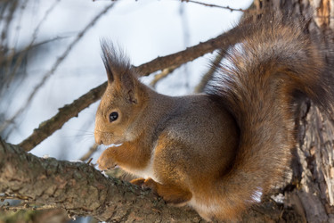 Similar image 12220868