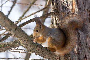 Similar image 12220869