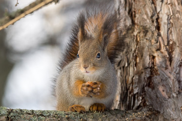 Similar image 12220870