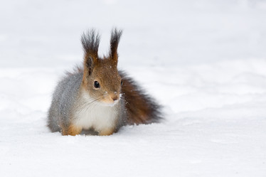 Similar image 12220873