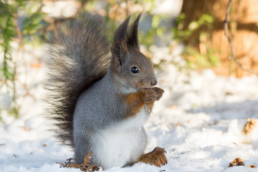 Similar image 12220874