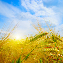 Similar image 12221021