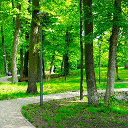 Similar image 12221023