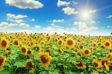 Similar image 12221031