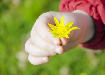 Similar image 12220496