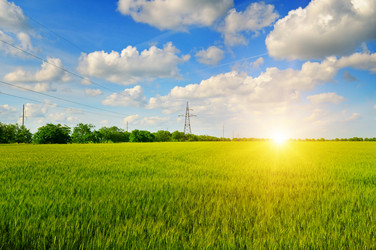 Similar image 12220999