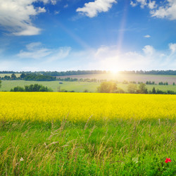 Similar image 12221006