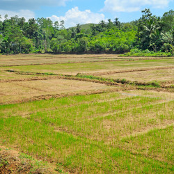 Similar image 12221009