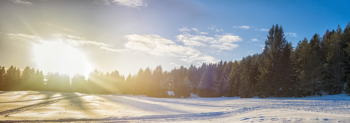 Similar image 12220503