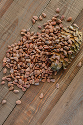 Similar image 12220584