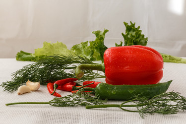 Similar image 12220597