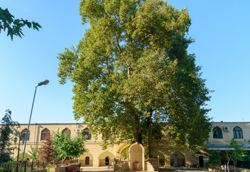 Similar image 12221108