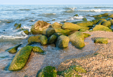 Similar image 12221113