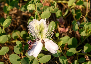 Similar image 12221117