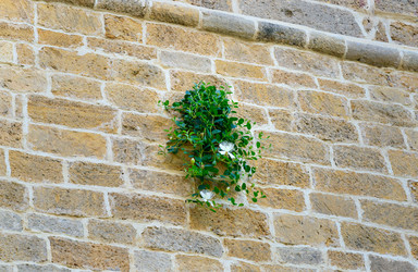 Similar image 12221118