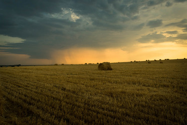 Similar image 12220514