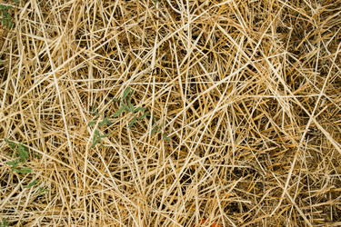 Similar image 12220515